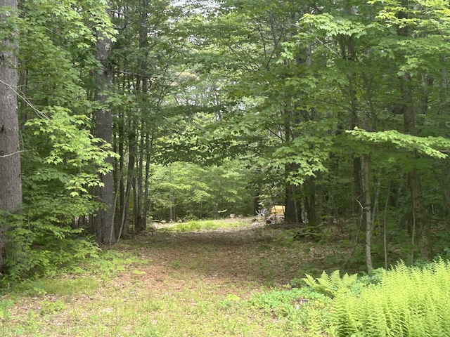 LOT3 Northwoods Ln, Bridgton, ME 04009 - photo 1
