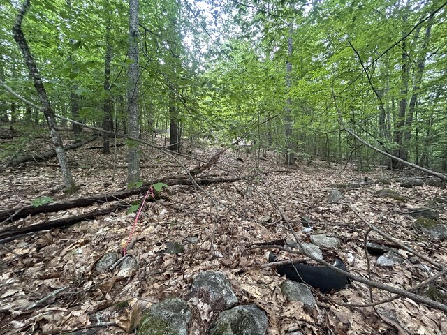 LOT3 Northwoods Ln, Bridgton, ME 04009 - photo 9