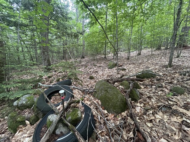 LOT3 Northwoods Ln, Bridgton, ME 04009 - photo 14