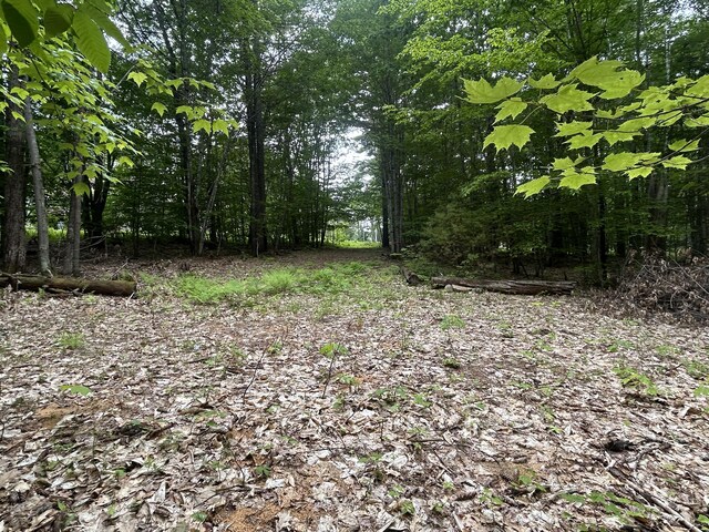 LOT3 Northwoods Ln, Bridgton, ME 04009 - photo 6