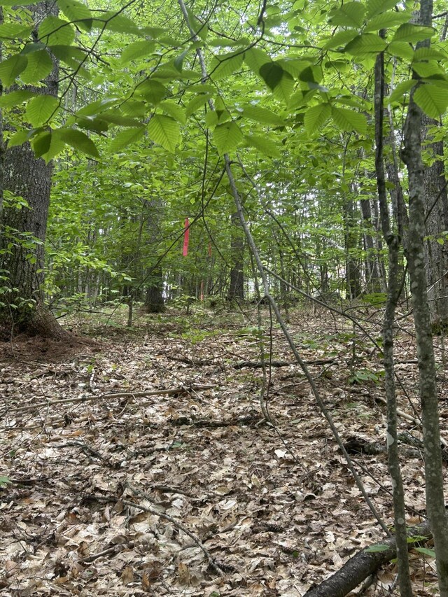 LOT3 Northwoods Ln, Bridgton, ME 04009 - photo 11