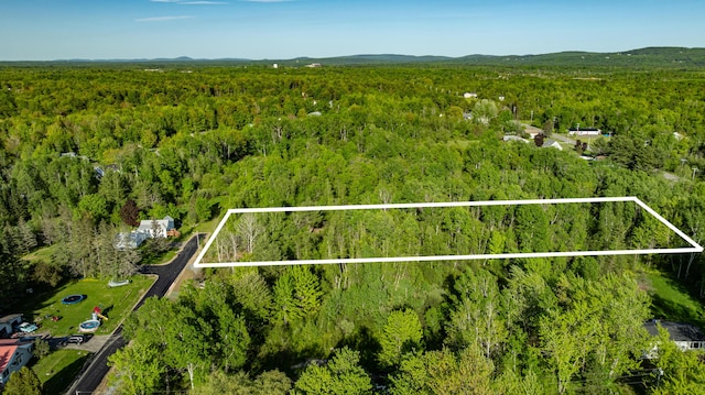 0 Pleasant St, Brewer, ME 04412 - photo 2