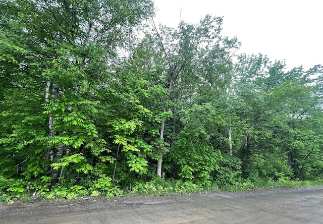 M1L11-3 Coboro Rd, Stetson, ME 04488