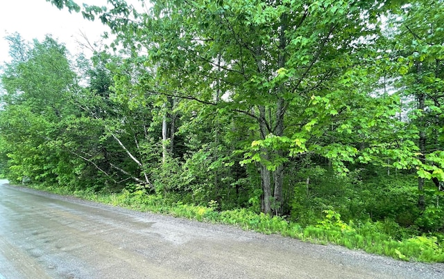 M1L11-3 Coboro Rd, Stetson, ME 04488