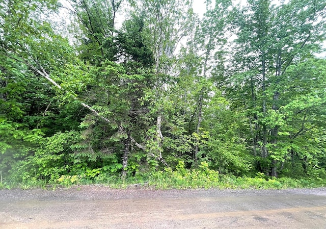 M1L11-3 Coboro Rd, Stetson, ME 04488