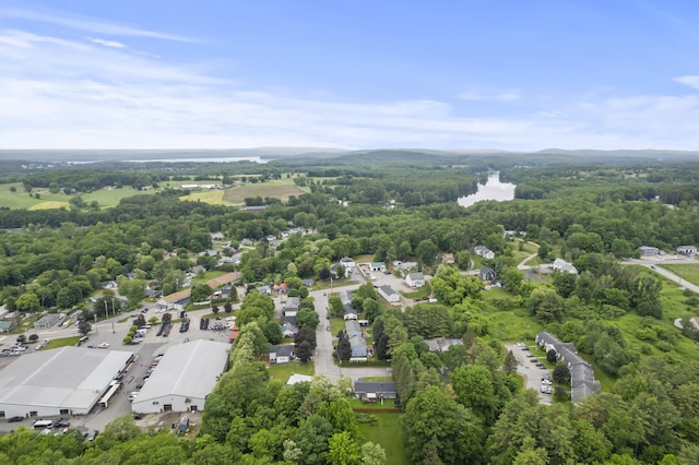 2 Laase Ave, Lewiston, ME 04240 - view of property location featuring a forest