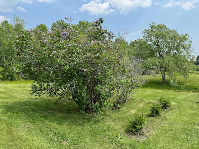 124 Swan Rd, Hermon, ME 04401 - view of green lawn