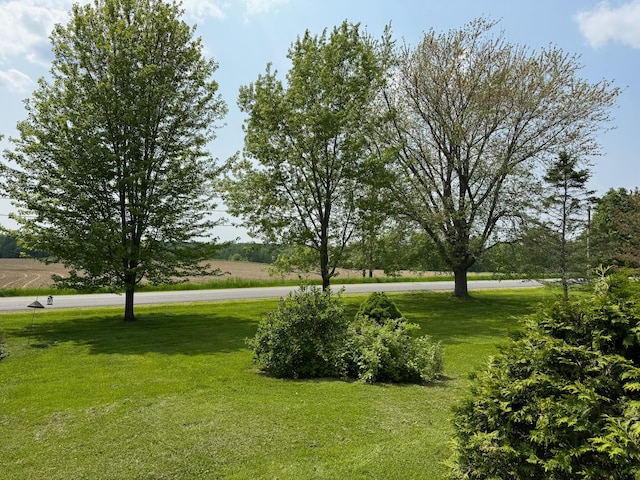 124 Swan Rd, Hermon, ME 04401 - view of green lawn
