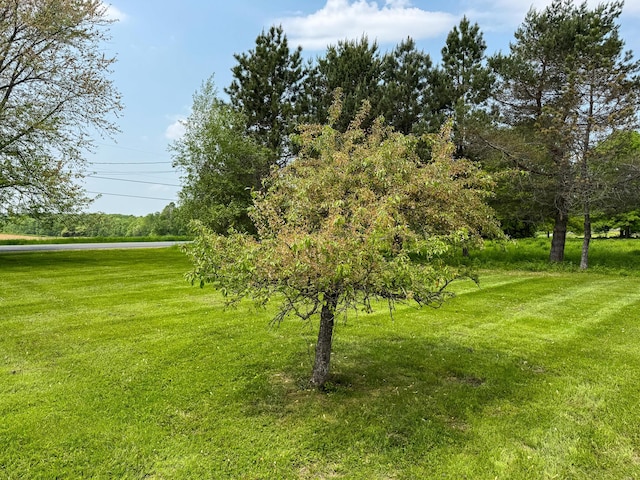 124 Swan Rd, Hermon, ME 04401 - view of green lawn
