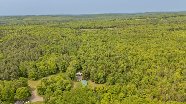 52A Judkins Rd, Harmony, ME 04942 - aerial view of a forest