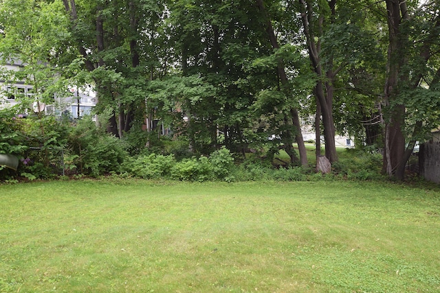 31 Curtis St, South Portland, ME 04106 - view of green lawn