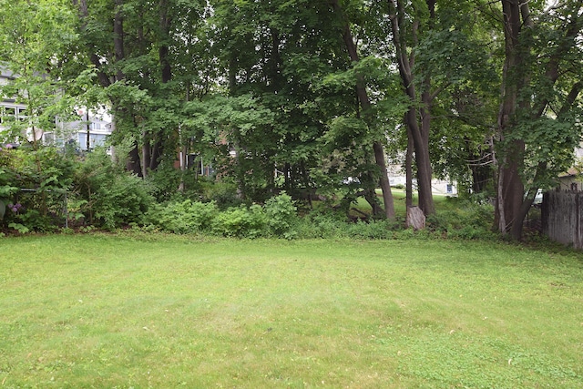31 Curtis St, South Portland, ME 04106 - view of yard