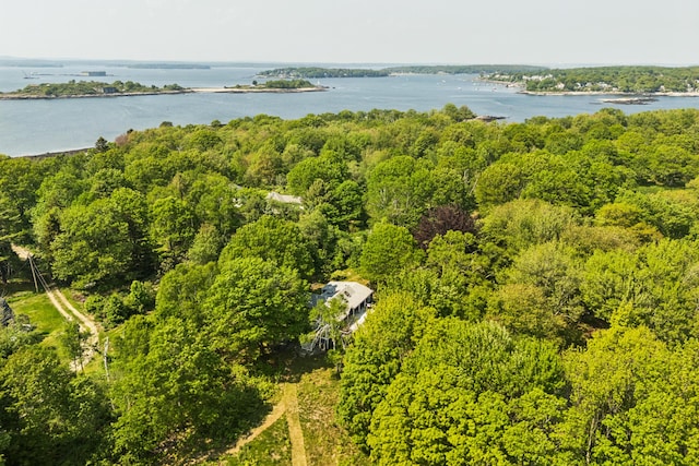 74 Ottawa Ave, Portland, ME 04109 - aerial view of property's location featuring a large body of water and a forest