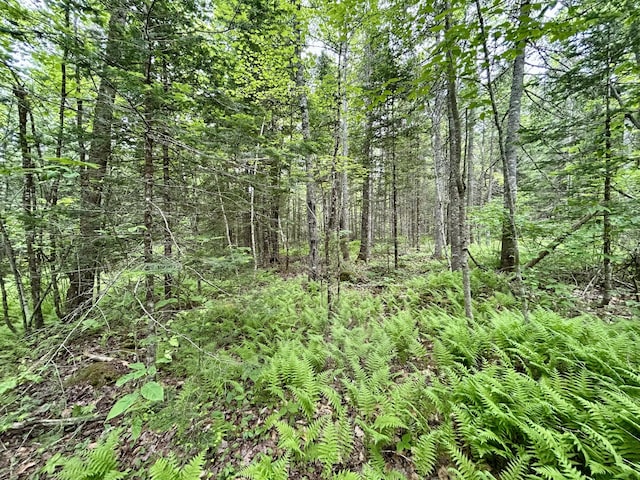 M5L27-3 Marks Rd, Albion, ME 04910