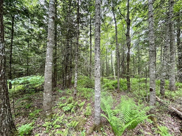 M5L27-3 Marks Rd, Albion, ME 04910