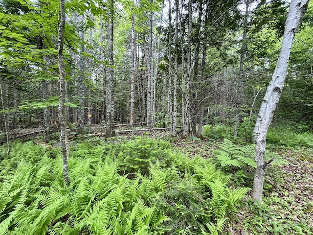 M5L27-3 Marks Rd, Albion, ME 04910