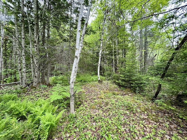 M5L27-3 Marks Rd, Albion, ME 04910
