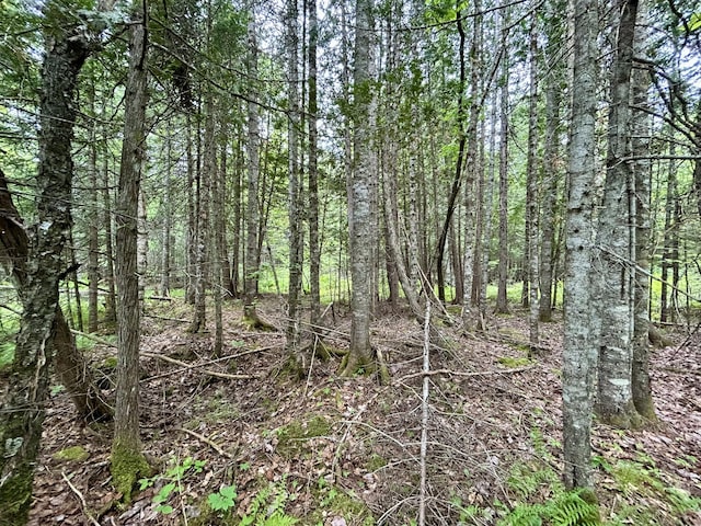 M5L27-3 Marks Rd, Albion, ME 04910