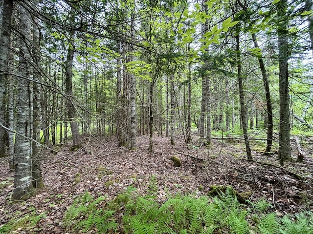 M5L27-3 Marks Rd, Albion, ME 04910