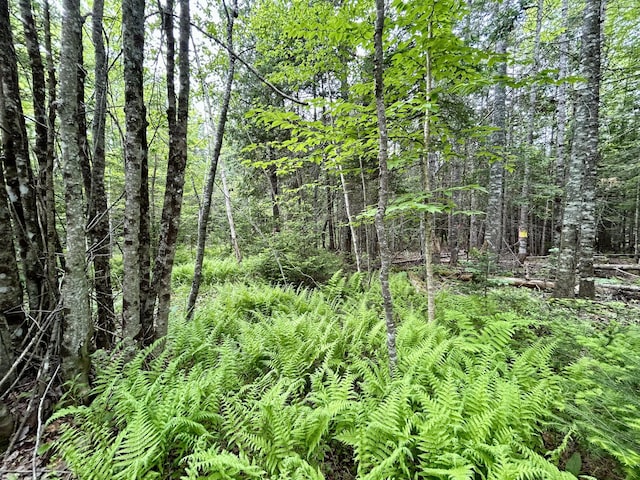 M5L27-3 Marks Rd, Albion, ME 04910