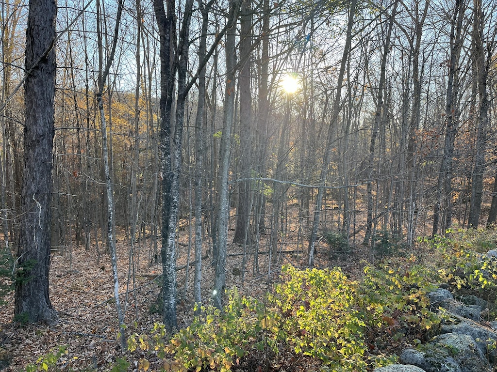 0 Old County Ln, Woodstock, ME 04219