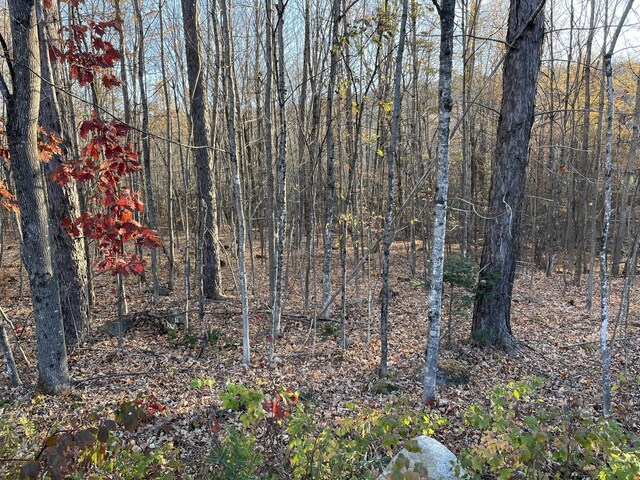 0 Old County Ln, Woodstock, ME 04219
