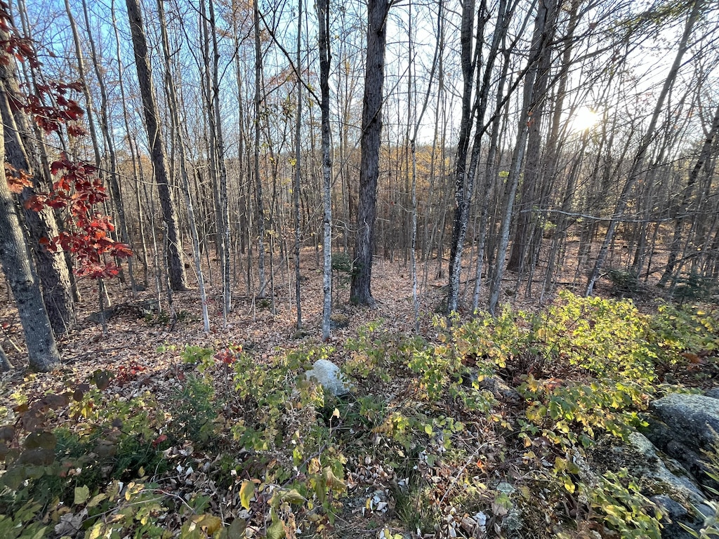 0 Old County Ln, Woodstock, ME 04219