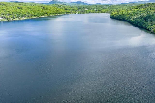 42 Barter Rd, Rockland, ME 04841 - water view with a forest and a mountain backdrop