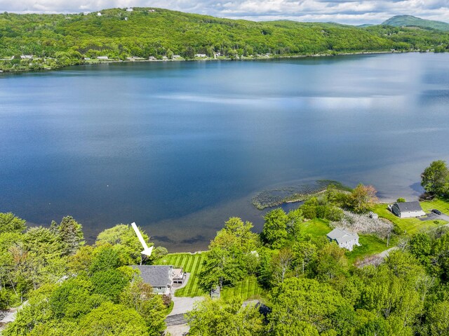 42 Barter Rd, Rockland, ME 04841 - aerial view of a forest and a large body of water