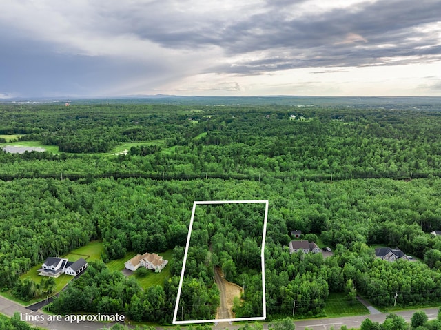 LOT21 Tamarack Trl, Bangor, ME 04401