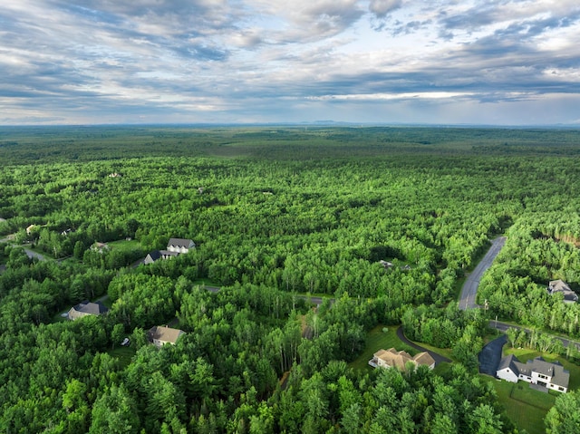 LOT21 Tamarack Trl, Bangor, ME 04401