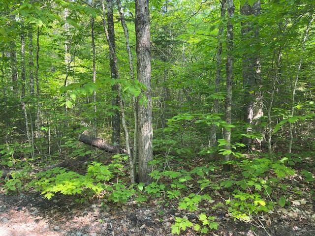 LOT2 Scammon Rd, Greenville, ME 04441