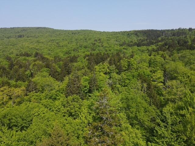 LOT2 Scammon Rd, Greenville, ME 04441