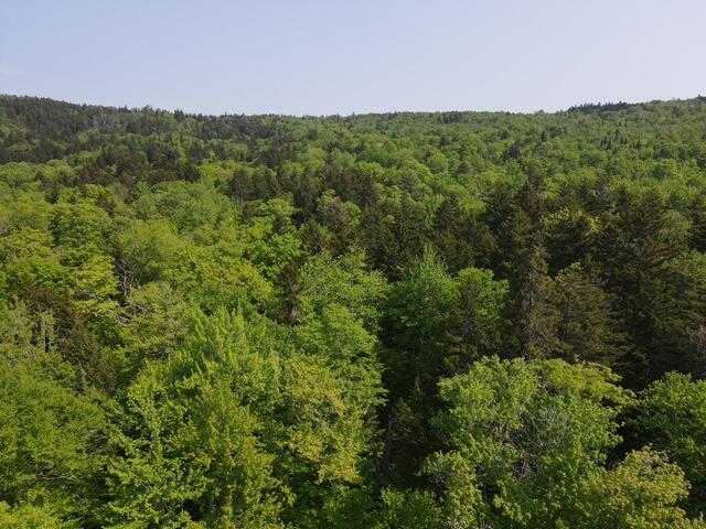 LOT2 Scammon Rd, Greenville, ME 04441