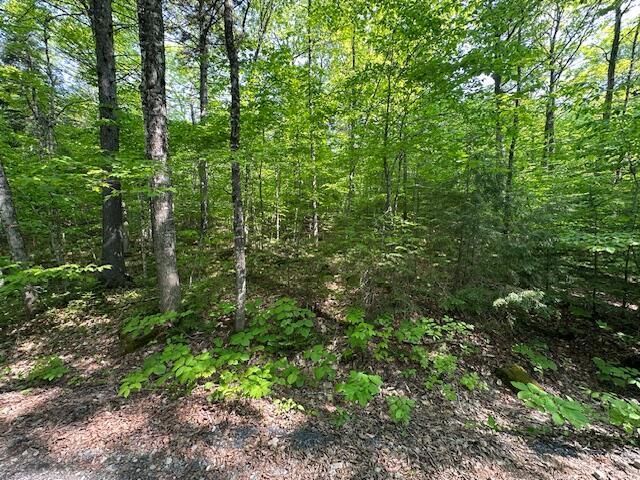 LOT2 Scammon Rd, Greenville, ME 04441
