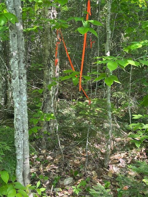 LOT2 Scammon Rd, Greenville, ME 04441