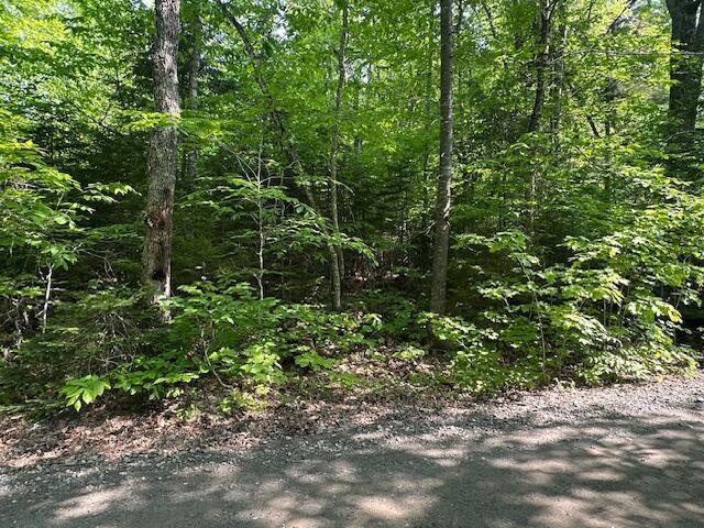 LOT2 Scammon Rd, Greenville, ME 04441