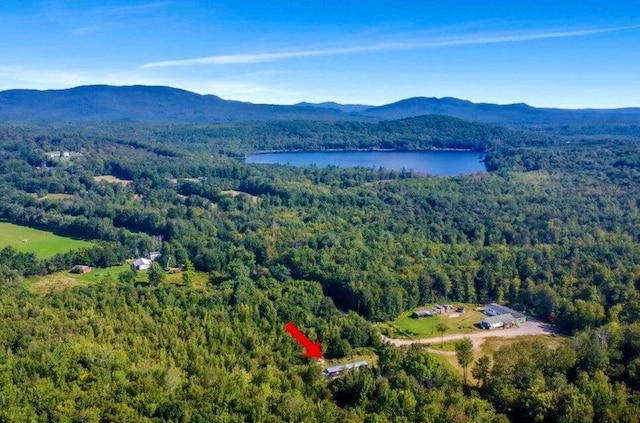 105 Arthur Allen Rd, Sumner, ME 04292 - aerial view of property and surrounding area featuring a forest and a water and mountain view