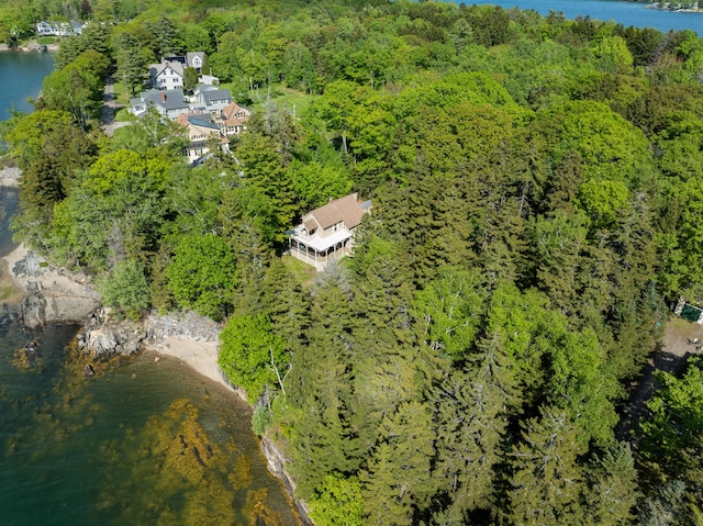 51 W Marginal Rd, Brunswick, ME 04011 - aerial overview of property's location featuring a forest and a nearby body of water