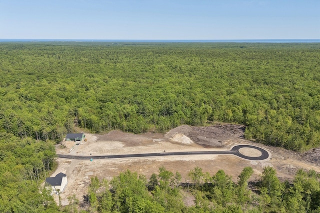LOT2 Jasper Ln, Arundel, ME 04046 - bird's eye view of a forest