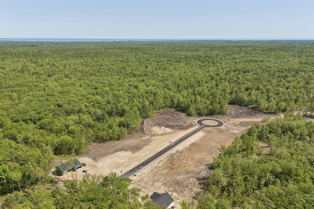 LOT2 Jasper Ln, Arundel, ME 04046 - aerial view of property's location with a heavily wooded area