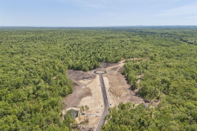 LOT2 Jasper Ln, Arundel, ME 04046 - bird's eye view of a forest