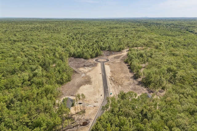 LOT2 Jasper Ln, Arundel, ME 04046 - aerial view of a heavily wooded area