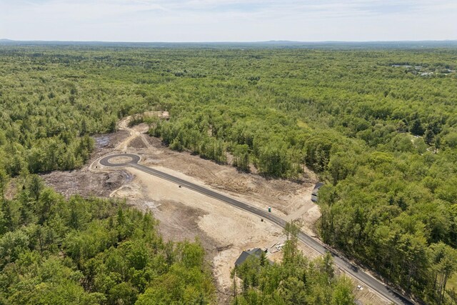 LOT2 Jasper Ln, Arundel, ME 04046 - bird's eye view of a forest