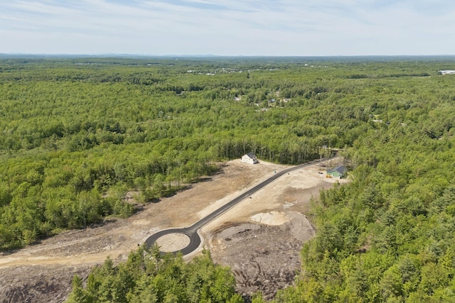 LOT2 Jasper Ln, Arundel, ME 04046 - view of property location featuring a heavily wooded area