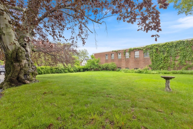 34 Birch St, Biddeford, ME 04005 - view of green lawn
