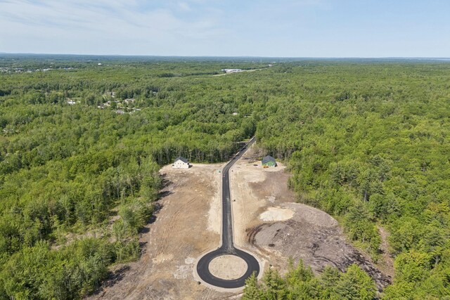 LOT4 Jasper Ln, Arundel, ME 04046 - photo 12