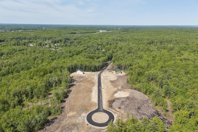 LOT10 Jasper Ln, Arundel, ME 04046 - aerial view of a forest