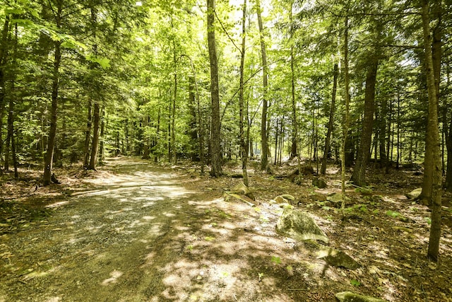 7 Cluff Ln, Bridgton, ME 04009 - view of woods