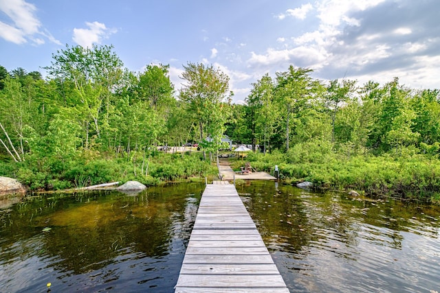 133 Lake Rd, Norway, ME 04268 - photo 38
